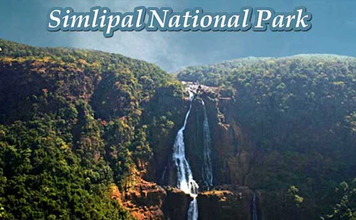 Simlipal National Park Itinerary